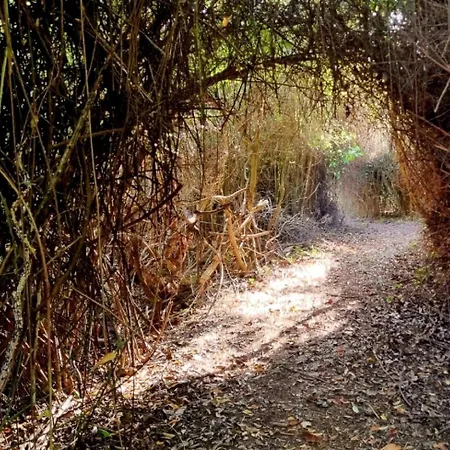 Centro De Naturaleza Canada 