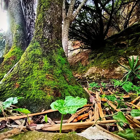 Centro De Naturaleza Canada 