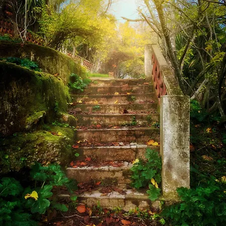 Centro De Naturaleza Canada 