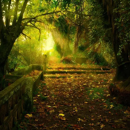 Centro De Naturaleza Canada 