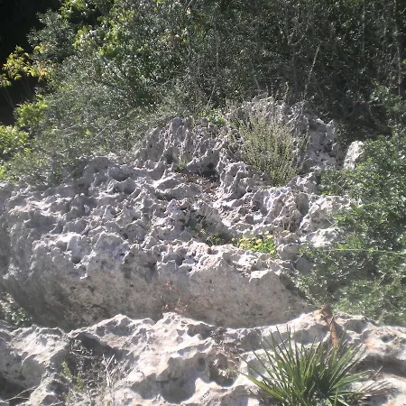 Centro De Naturaleza Canada 
